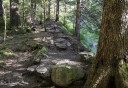 Photo of stone trail steps